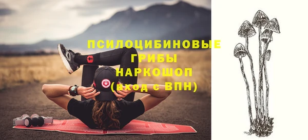 дживик Балабаново