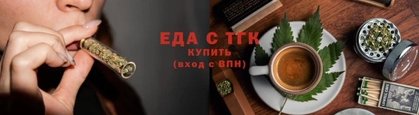 индика Арсеньев