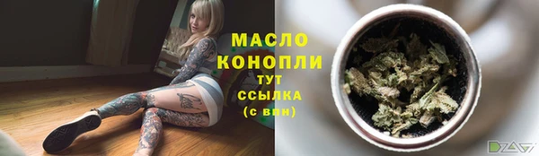 индика Арсеньев