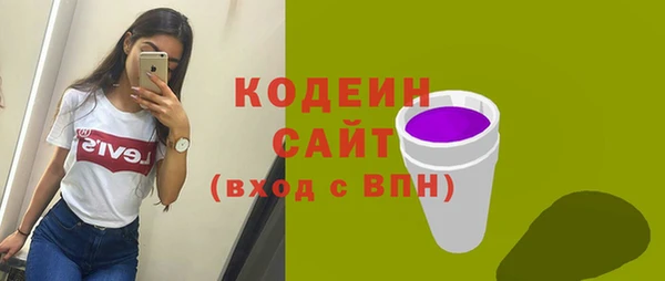 индика Арсеньев