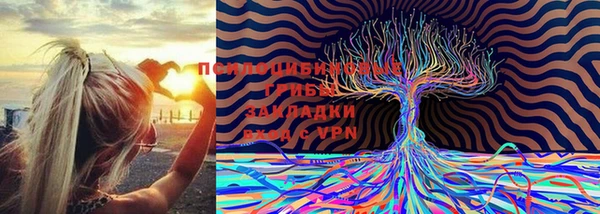 индика Арсеньев