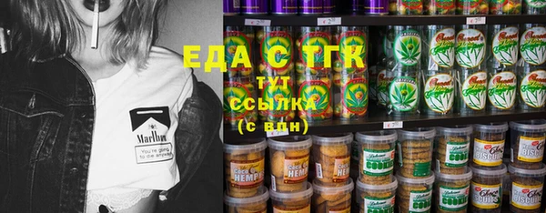 индика Арсеньев