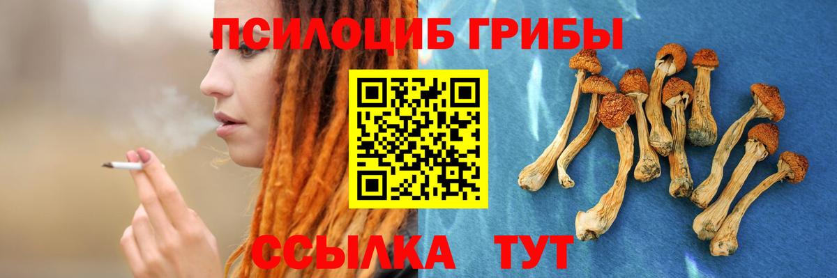 Псилоцибиновые грибы ЛСД Тобольск