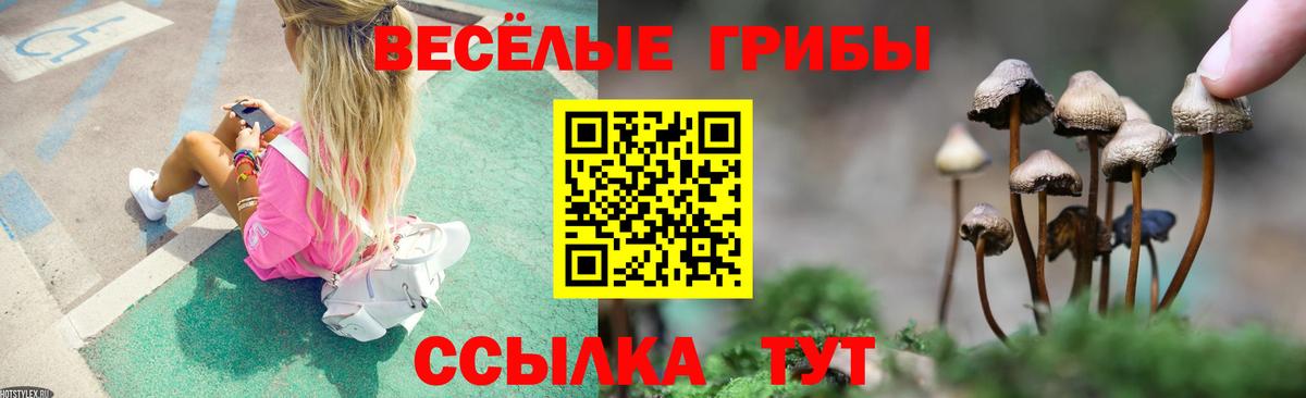 Тобольск  Псилоцибиновые грибы ЛСД  Вход с VPN 